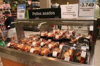 Bilder Chile 2009 2010  Teil I 246